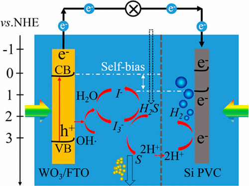 Self Driven Photoelectrochemical Splitting Of H2s For S And H2 Recovery And Simultaneous Electricity Generation Environmental Science Technology X Mol