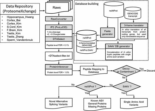 Next Generation Proteomic Pipeline for Chromosome-Based Proteomic ...