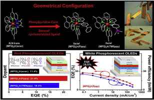 Highly efficient and spectrally stable white organic light-emitting ...