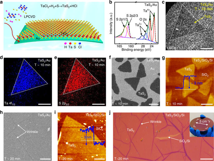 Twodimensional metallic tantalum disulfide as a hydrogen evolution catalyst.,Nature