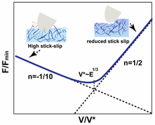 Stick–Slip Friction Reveals Hydrogel Lubrication Mechanisms,Langmuir ...