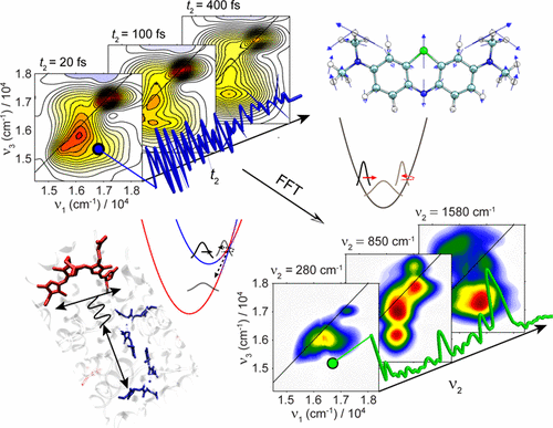 Coherence Spectroscopy in the Condensed Phase: Insights into Molecular ...