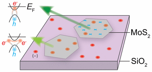 Weakly Trapped, Charged, And Free Excitons In Single-Layer MoS2 In The ...