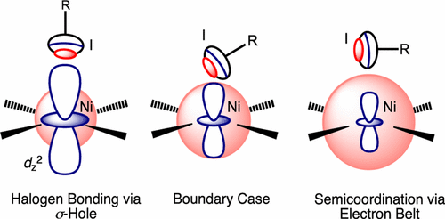 Electrophilic Nucleophilic Dualism Of Nickel Ii Toward Ni I Noncovalent Interactions Semicoordination Of Iodine Centers Via Electron Belt And Halogen Bonding Via S Hole Inorganic Chemistry X Mol