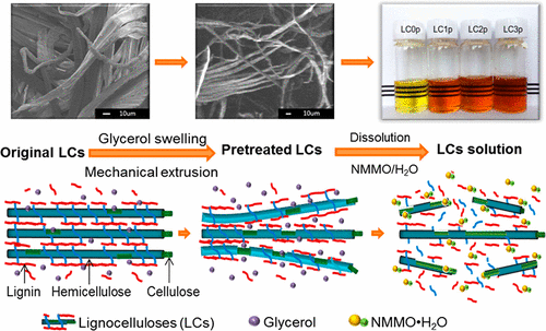 Dissolution of Lignocelluloses with a High Lignin Content in a N ...