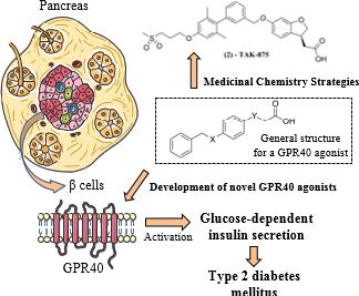 Structural basis for the agonist action at free fatty acid receptor 1 ...