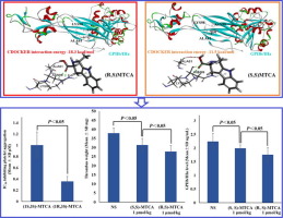 Docking based design of diastereoisomeric MTCA as GPIIb/IIIa receptor ...