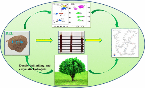 Structural Characteristics of Lignin Macromolecules from Different ...