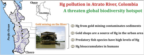 Mercury pollution by gold mining in a global biodiversity hotspot, the ...