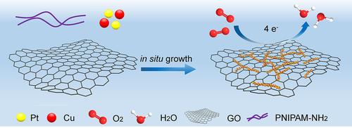 In Situ Integration of Ultrathin PtCu Nanowires with Reduced Graphene ...