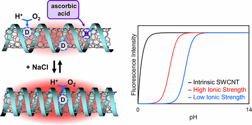 single walled carbon nanotubes