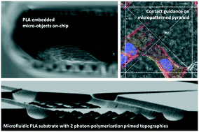Development of a microfluidic platform integrating high-resolution ...