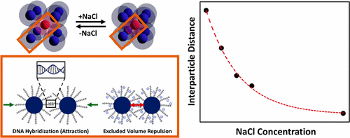 The Role of Repulsion in Colloidal Crystal Engineering with DNA,Journal ...