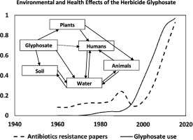 Environmental And Health Effects Of The Herbicide Glyphosate,Science Of ...