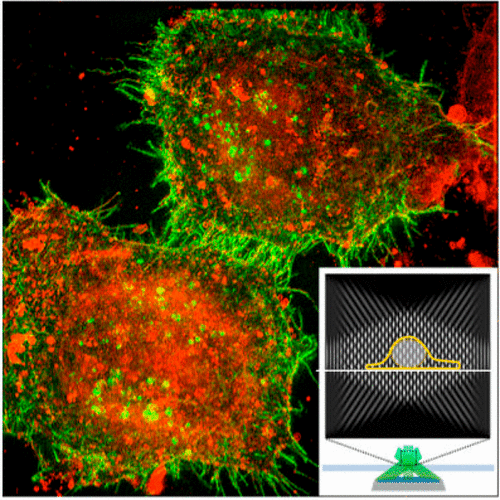 Super-Resolution Structured Illumination Microscopy