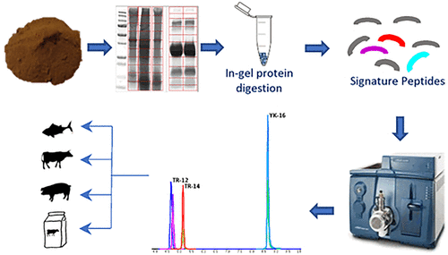 LC-MS/MS Identification of Species-Specific Muscle Peptides in ...