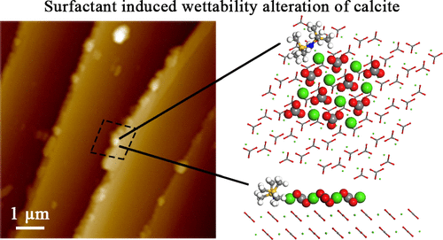 Understanding Calcite Wettability Alteration through Surface Potential ...