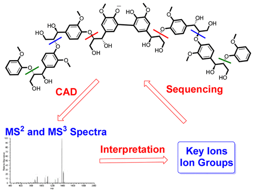 Esi Cad Msn Procedure For Sequencing Lignin Oligomers Based On A Study Of Synthetic Model Compounds With B O 4 And 5 5 Linkages Analytical Chemistry X Mol