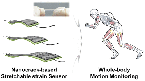 Omni-Purpose Stretchable Strain Sensor Based on a Highly Dense ...