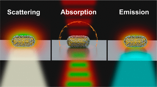 Correlated Absorption and Scattering Spectroscopy of Individual