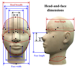 Characterization of small-to-medium head-and-face dimensions for