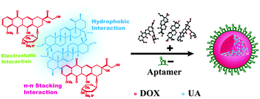 A carrier-free dual-drug nanodelivery system functionalized with ...