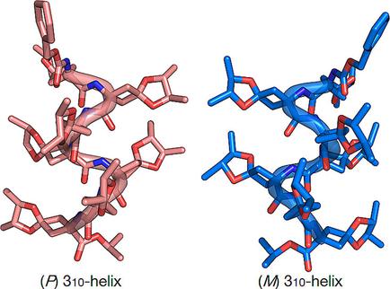具有十四个(R)手性中心的非对映右旋和左旋螺旋结构,Chemistry - A European Journal - X-MOL
