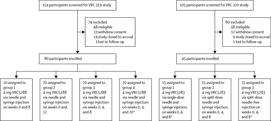 Safety Tolerability And Immunogenicity Of Two Zika Virus Dna Vaccine Candidates In Healthy Adults Randomised Open Label Phase 1 Clinical Trials The Lancet X Mol