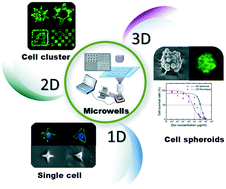 Mask-free fabrication of a versatile microwell chip for ...