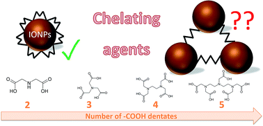 Chelating Agents As Coating Molecules For Iron Oxide Nanoparticles Rsc Advances X Mol