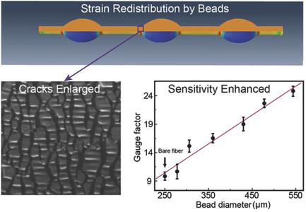 Surface Strain Redistribution On Structured Microfibers To Enhance ...