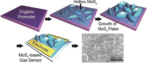 Strain-Gradient Effect in Gas Sensors Based on Three-Dimensional Hollow ...