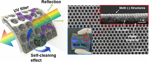 Multifunctional Moth-Eye TiO2/PDMS Pads with High Transmittance and UV ...