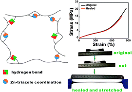 An Advanced Elastomer With An Unprecedented Combination Of Excellent ...