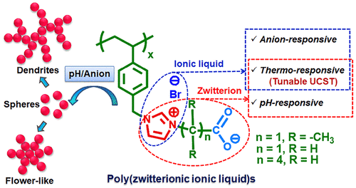 Structural Variation In Homopolymers Bearing Zwitterionic And Ionic Liquid Pendants For Achieving Tunable Multi Stimuli Responsiveness And Hierarchical Nanoaggregates Macromolecules X Mol