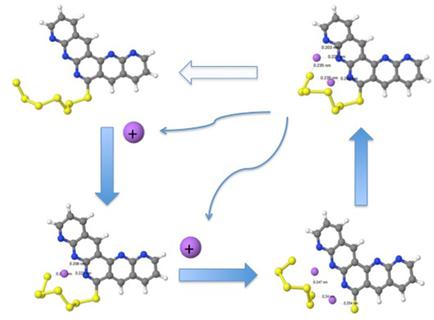 Theoretical Studies on the Charging and Discharging of Poly ...