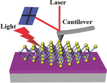 Effect of UV Irradiation and Heat Treatment on the Surface Potential ...