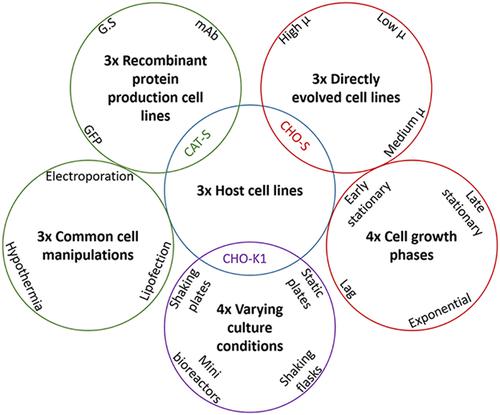 Cho Linear Pattern 基于转录组的qPCR数据标准化最佳参考CHO基因的鉴定,Biotechnology Journal - X-MOL