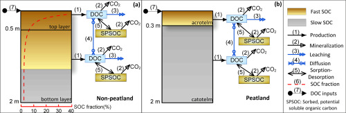 Drivers of dissolved organic carbon export in a subarctic catchment ...