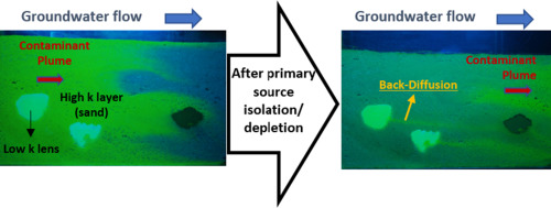 Back Diffusion Contaminant back-diffusion from low-permeability layers as affected by ...