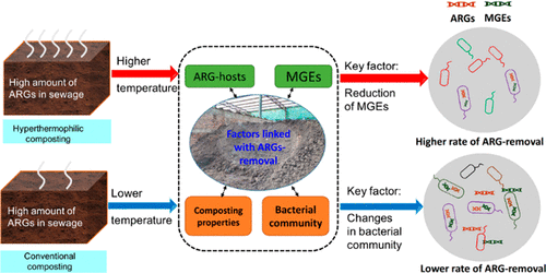 Hyperthermophilic Composting Accelerates The Removal Of Antibiotic ...