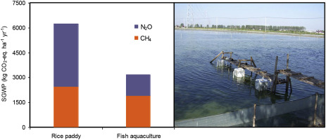 Annual methane and nitrous oxide emissions from rice paddies and inland ...