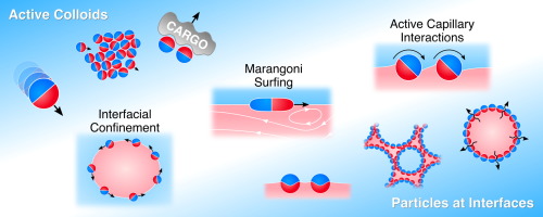 流体界面处的活性胶体颗粒,Current Opinion in Colloid & Interface Science - X-MOL
