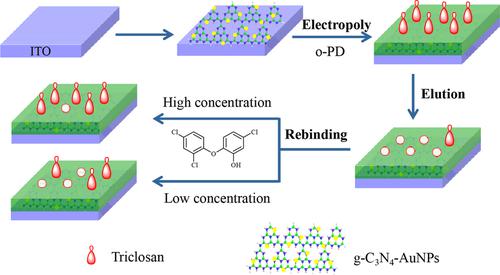 A Novel Molecularly Imprinted Photoelectrochemical Sensor Based on g ...