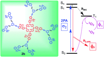 New porphyrin-based dendrimers with alkene linked fluorenyl antennae ...