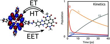 Electron and excitation energy transfers in covalently linked donor ...