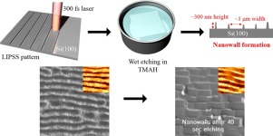 Nanowall Formation By Maskless Wet-etching On A Femtosecond Laser ...