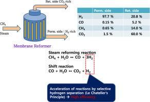 Hydrogen production by steam methane reforming in a membrane reactor ...