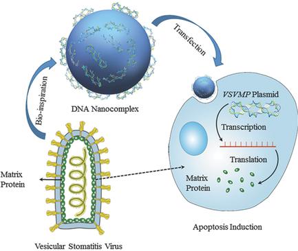 A Vesicular Stomatitis Virus‐Inspired DNA Nanocomplex For Ovarian ...