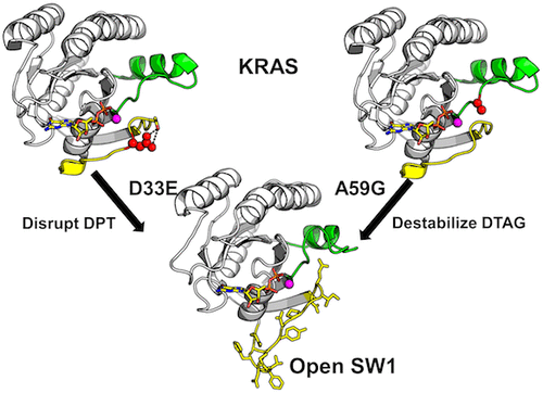 Kras Switch Mutants D33e And A59g Crystallize In The State 1